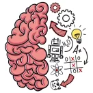 Brain Test مهكرة
